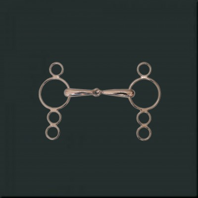 Universal Bit