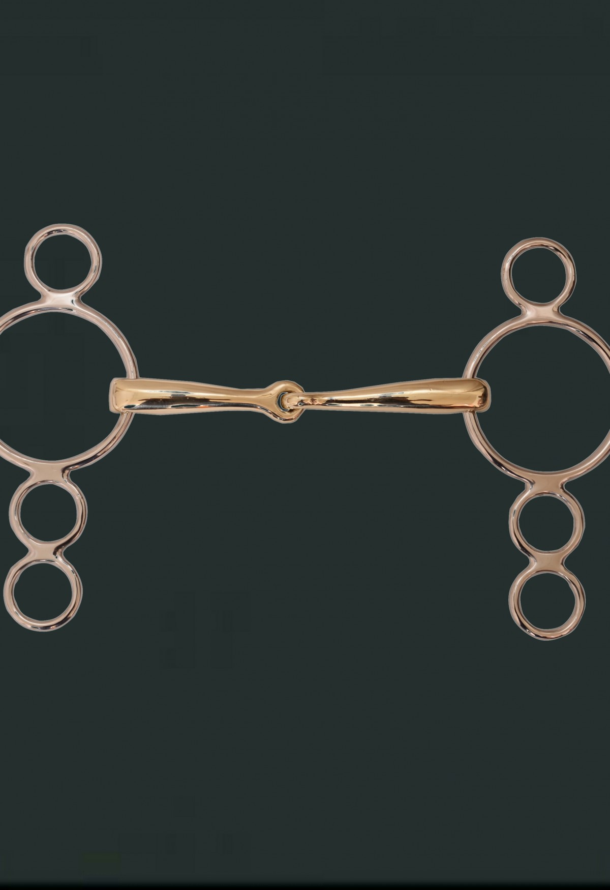 Universal Bit