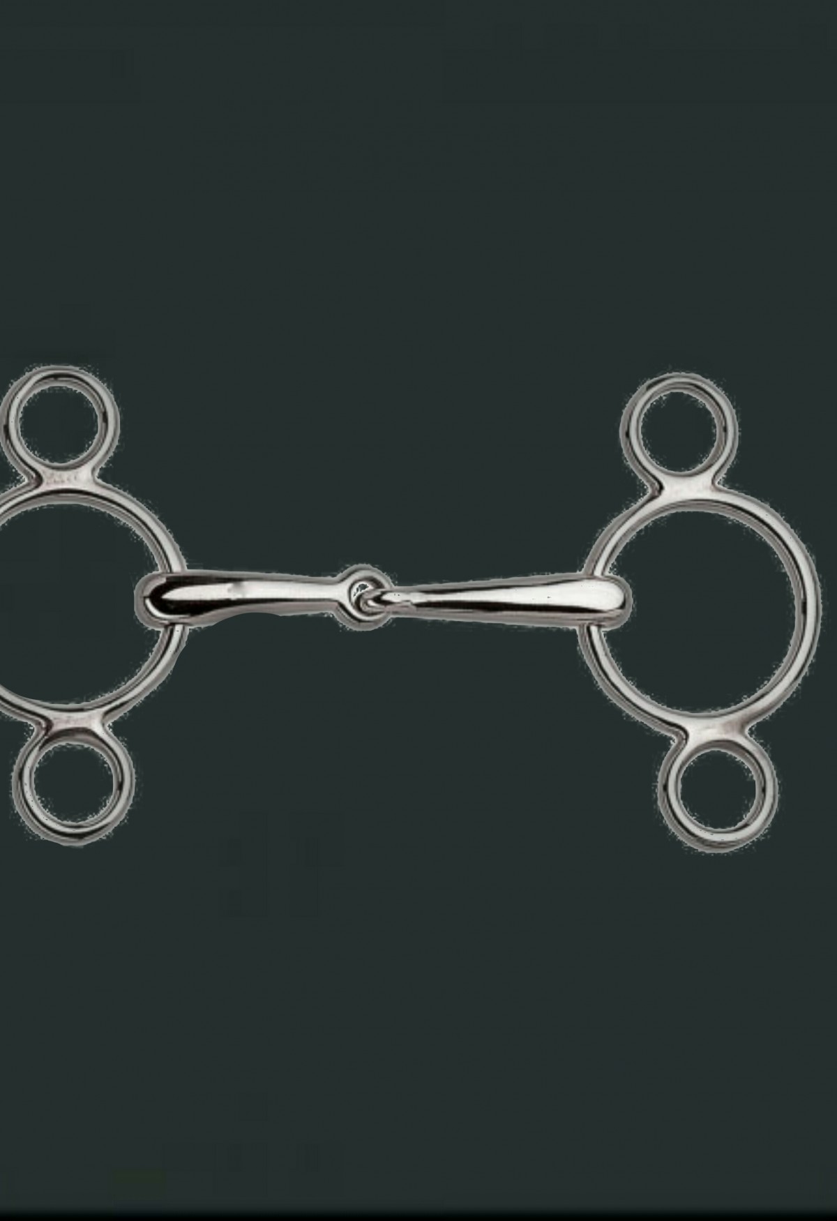 Universal Bit