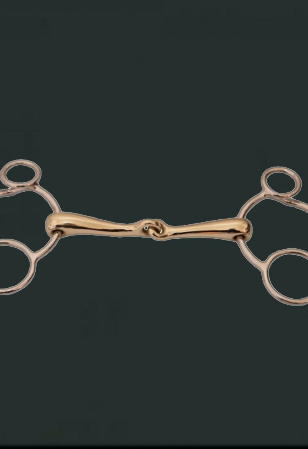 Universal Bit