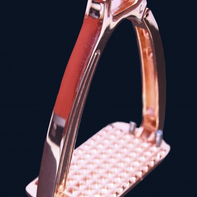 Safety Stirrup With Magnetic
